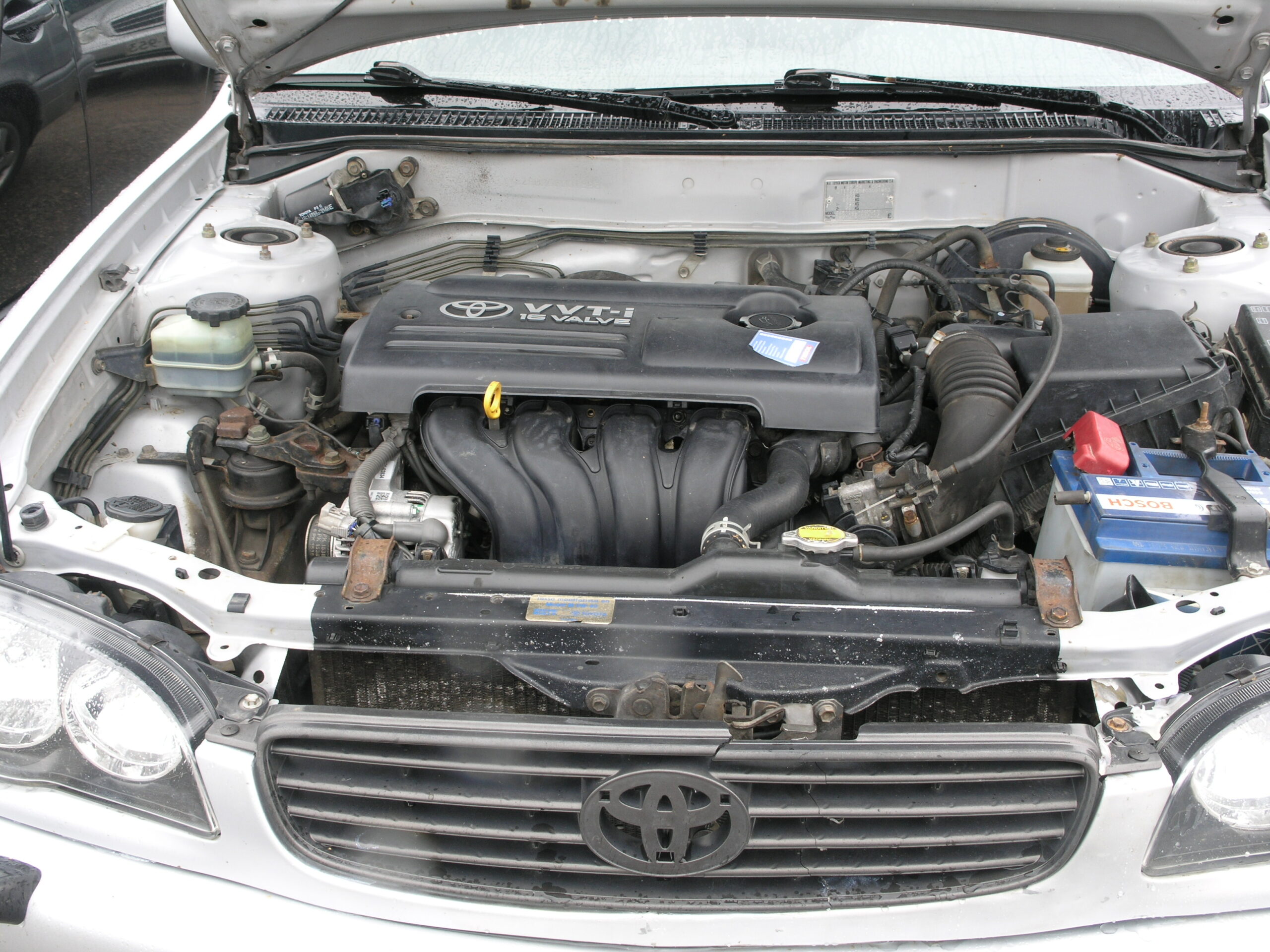 OLYMPUS DIGITAL CAMERA