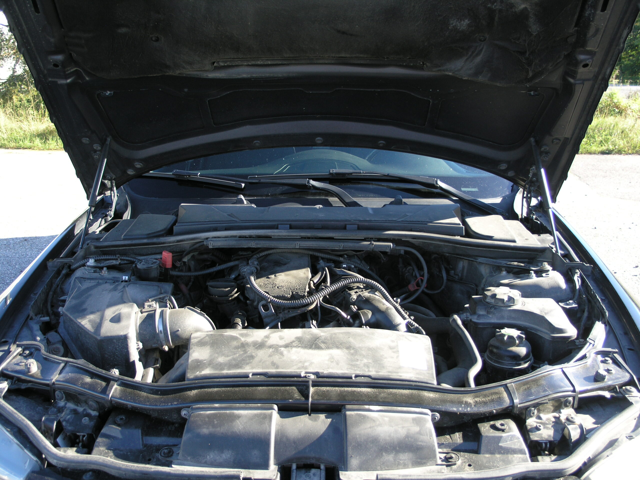 OLYMPUS DIGITAL CAMERA