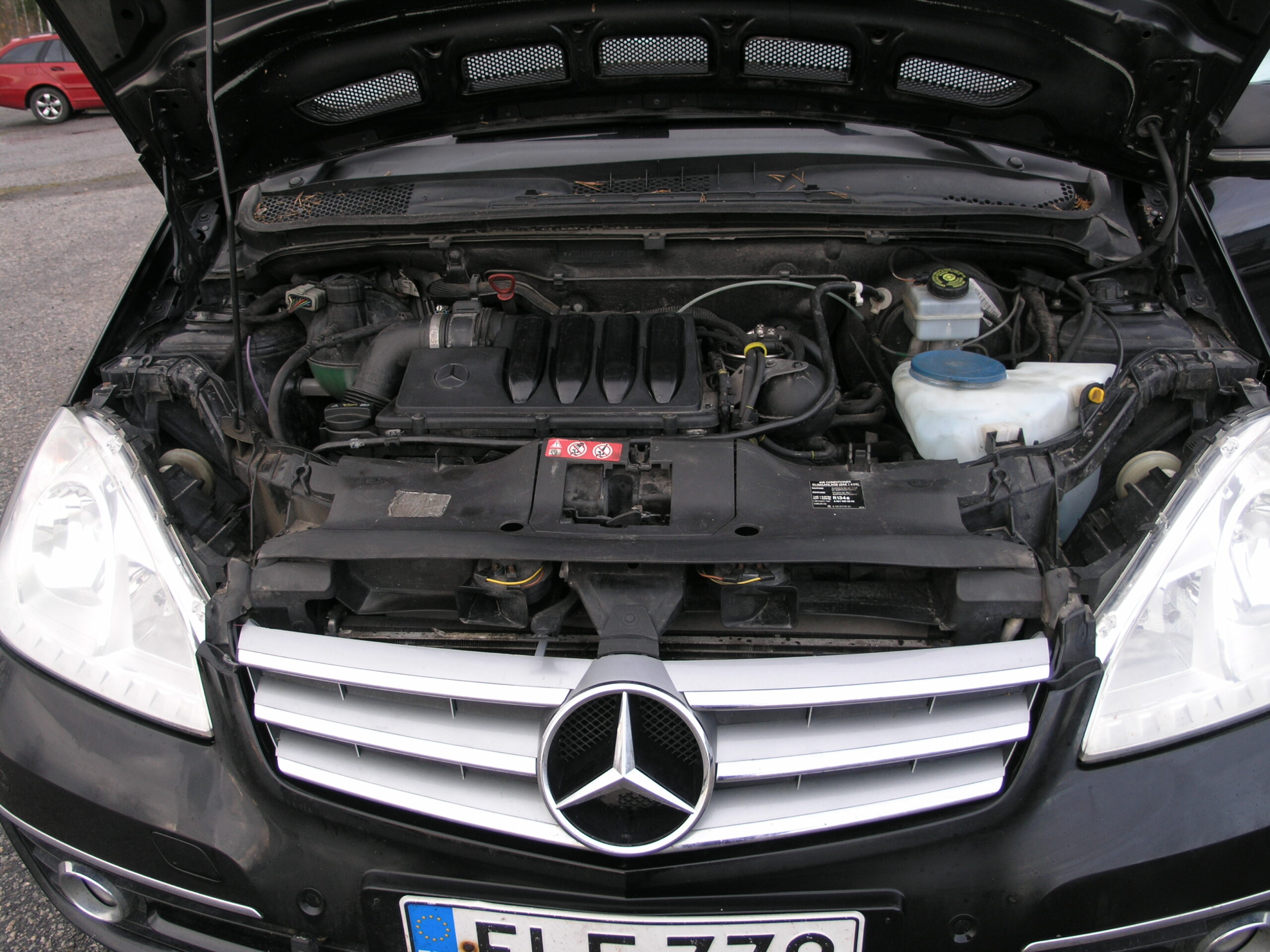 OLYMPUS DIGITAL CAMERA